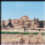 Siwa Oasis Secrets